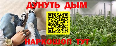 сатива Балахна