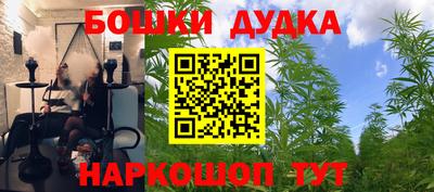 сатива Балахна