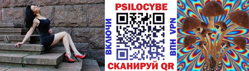 как найти закладки  Богородск  Галлюциногенные грибы мицелий 