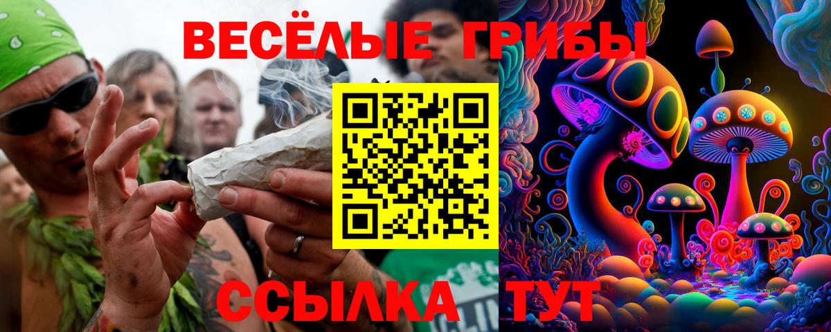 Галлюциногенные грибы Psilocybine cubensis  Вход с VPN  Псилоцибиновые грибы GOLDEN TEACHER  Богородск 